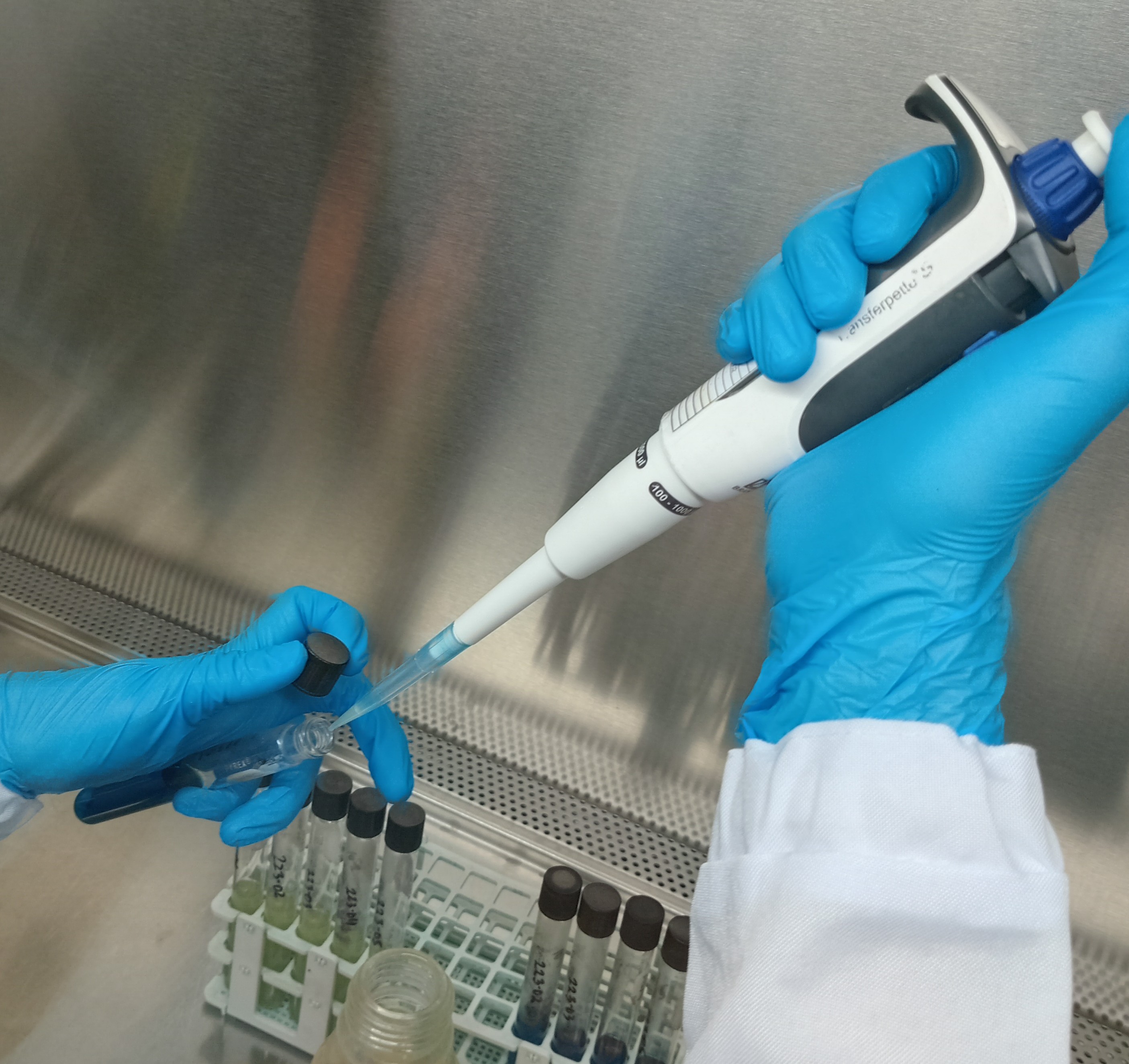 Microbiological Testing